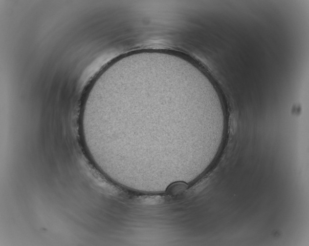 X0000110711410200907101233