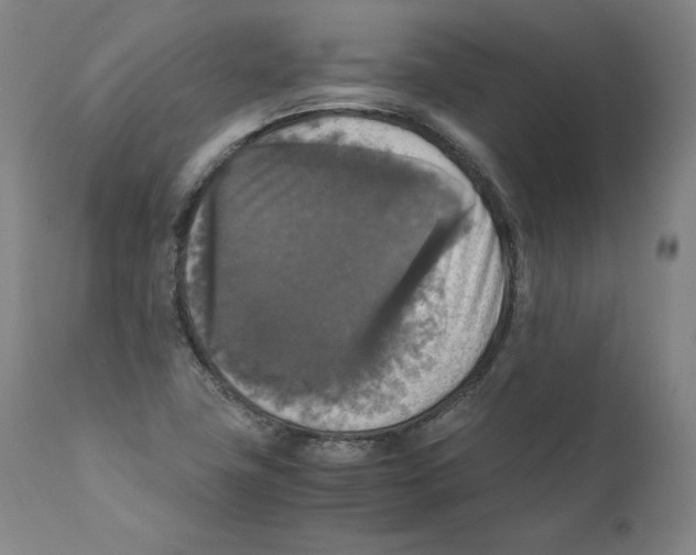 X0000110711411200907101233