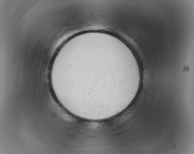 X0000110711412200907101233