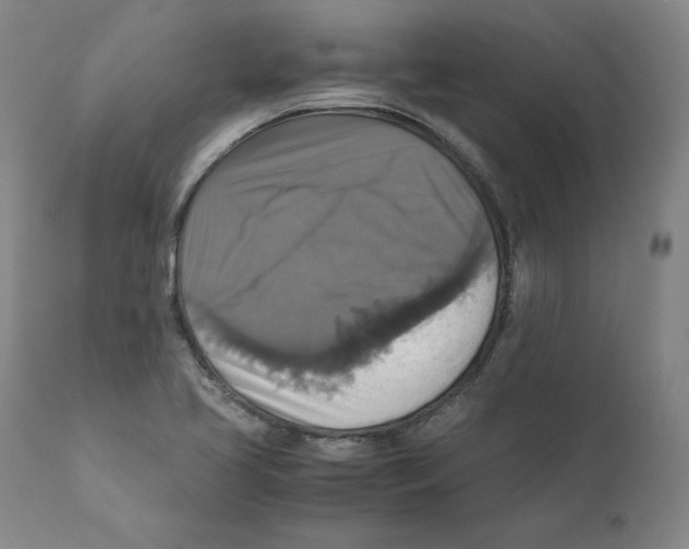 X0000110711413200907101233