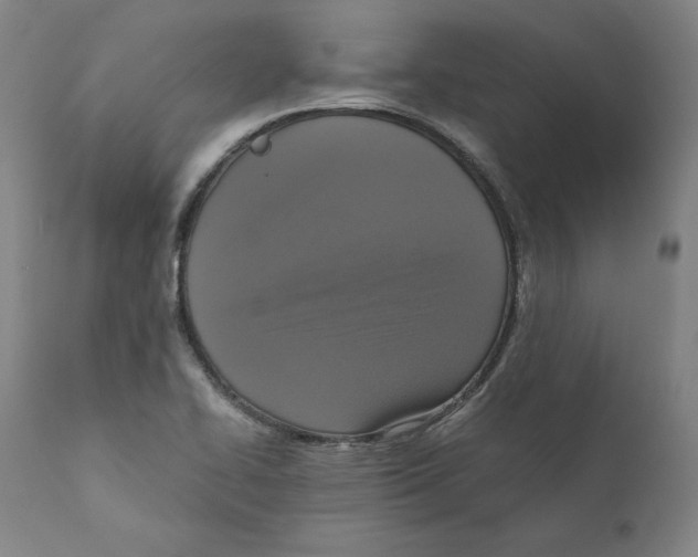 X0000110711414200907101233