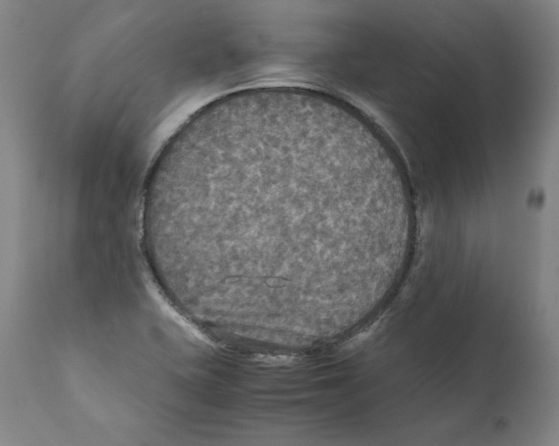 X0000110711415200907101233