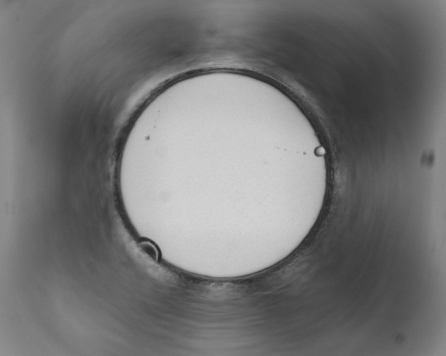 X0000110711416200907101233