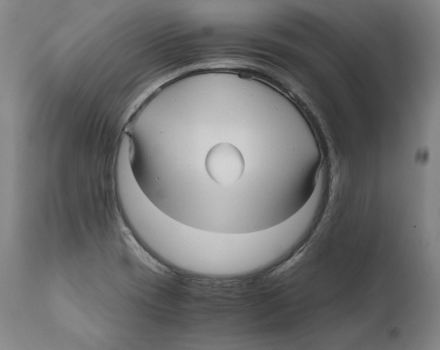 X0000110711417200907101233