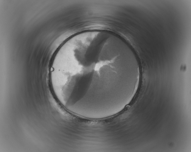 X0000110711418200907101233