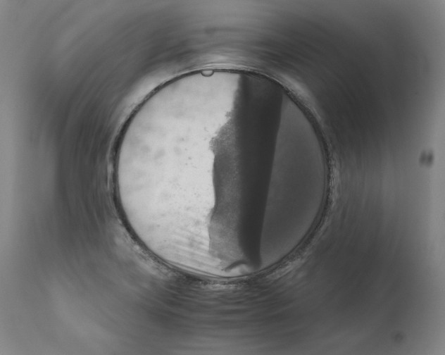 X0000110711419200907101233