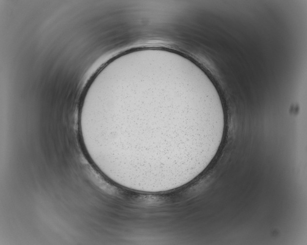 X0000110711420200907101233