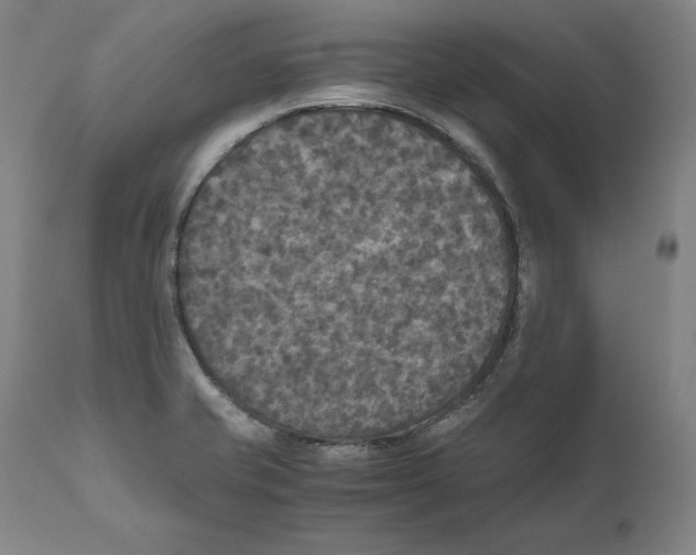 X0000110711421200907101233