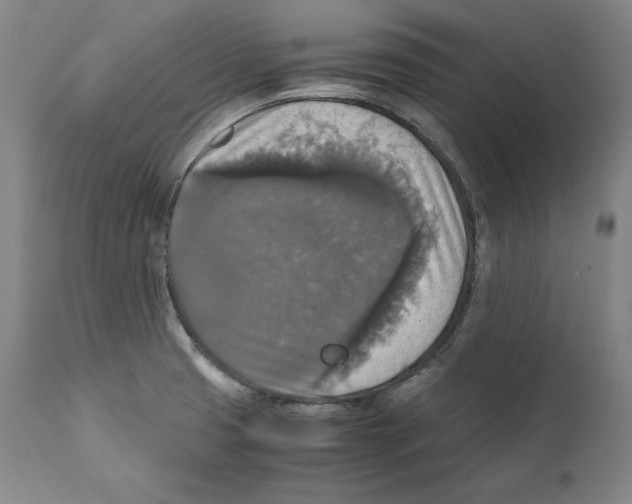 X0000110711425200907101233