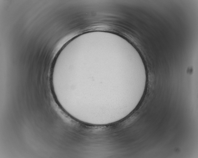 X0000110711426200907101233