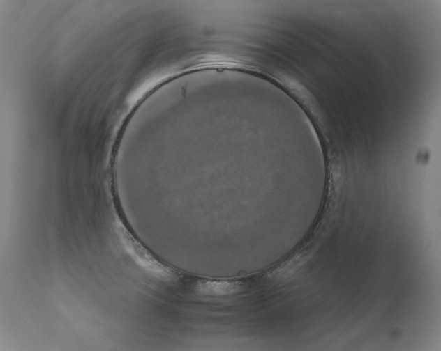 X0000110711427200907101233