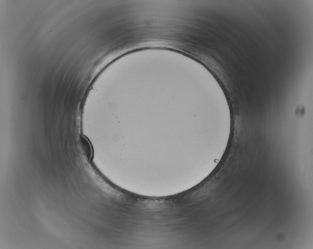 X0000110711428200907101233