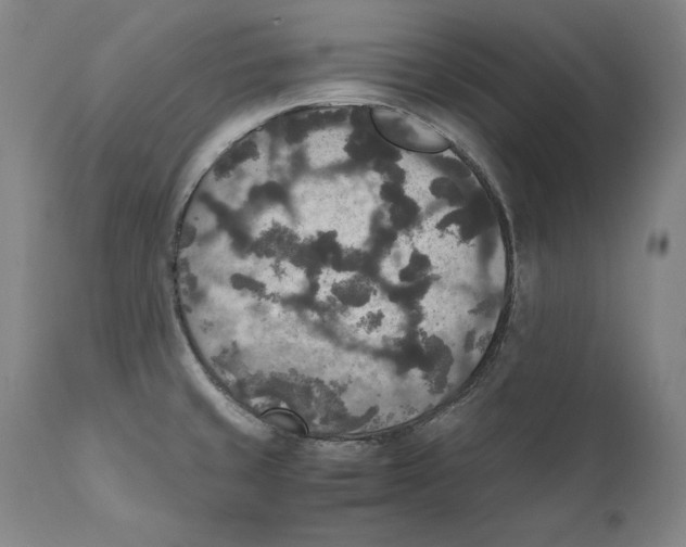 X0000110711429200907101233