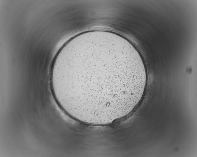 X0000110711430200907101233