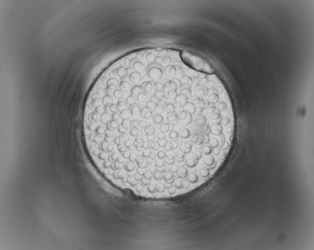 X0000110711432200907101233