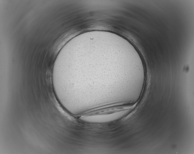 X0000110711433200907101233