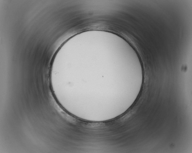 X0000110711434200907101233