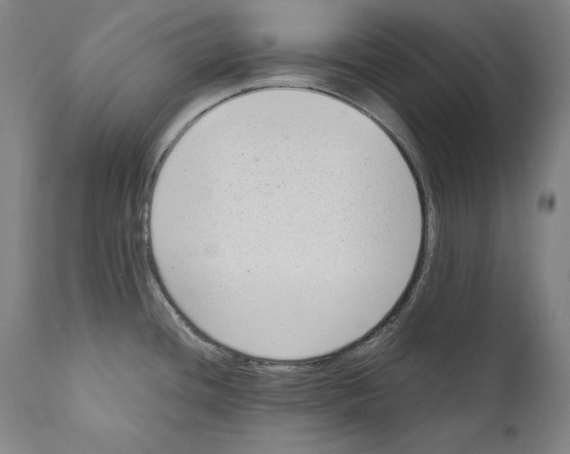 X0000110711436200907101233