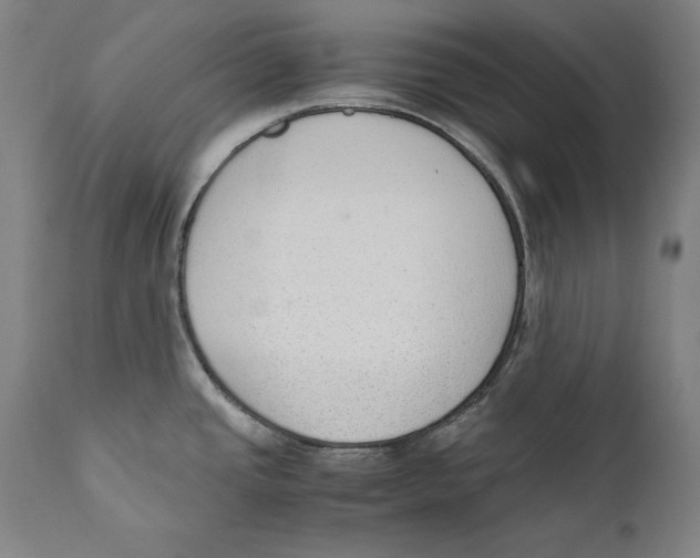 X0000110711437200907101233