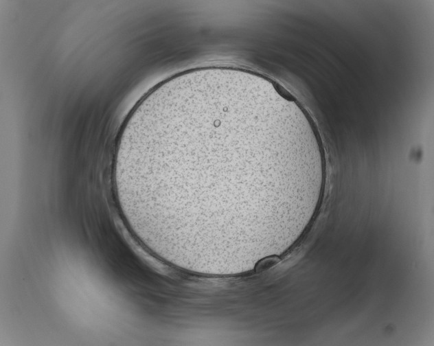 X0000110711438200907101233