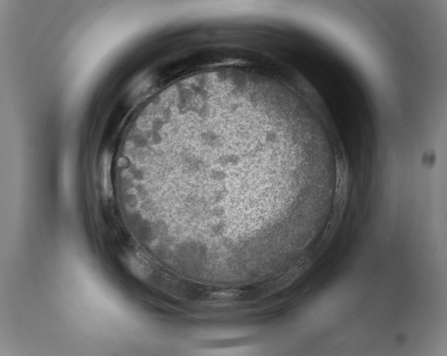 X0000110711439200907101233