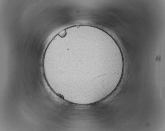 X0000110711440200907101233