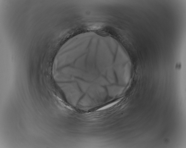 X0000110711441200907101233