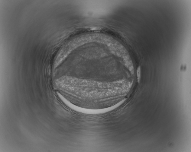 X0000110711443200907101233