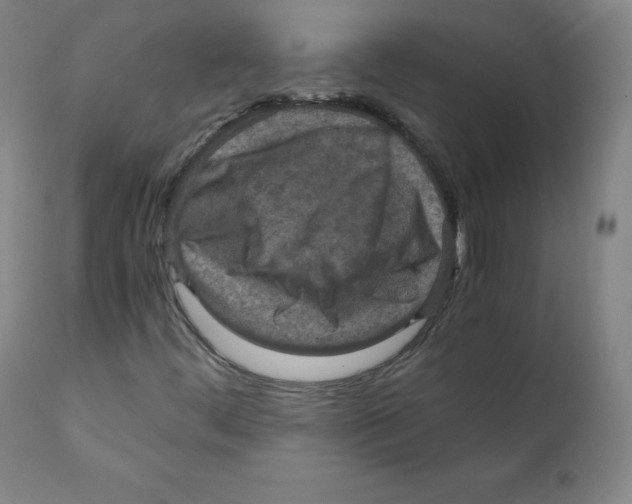 X0000110711444200907101233