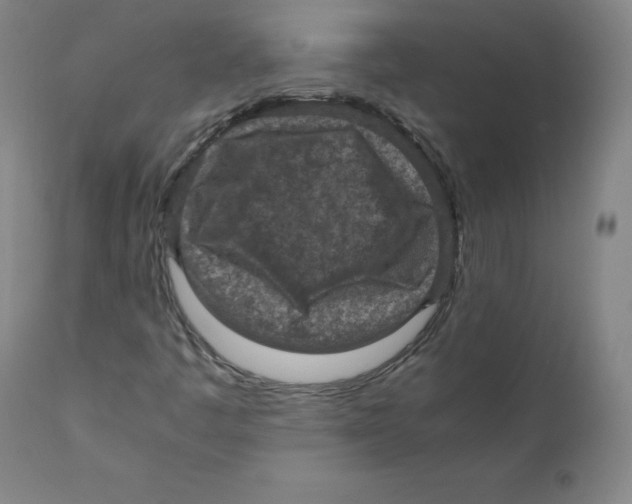 X0000110711445200907101233