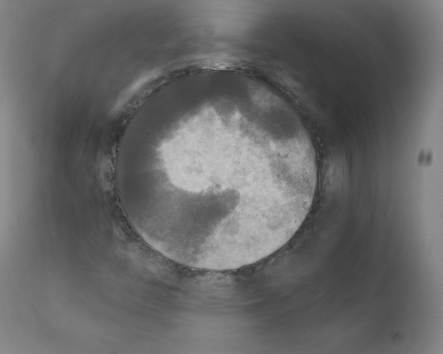 X0000110711446200907101233