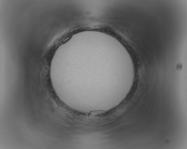 X0000110711447200907101233