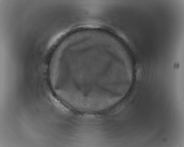 X0000110711448200907101233