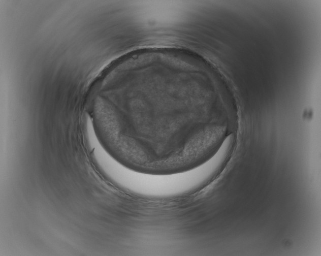 X0000110711449200907101233