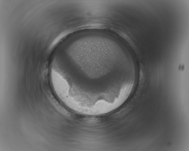 X0000110711450200907101233