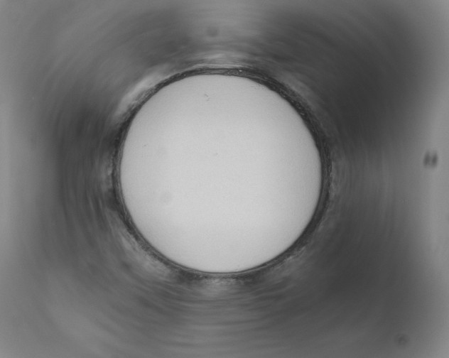 X0000110711451200907101233