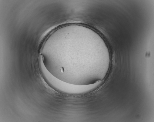 X0000110711452200907101233