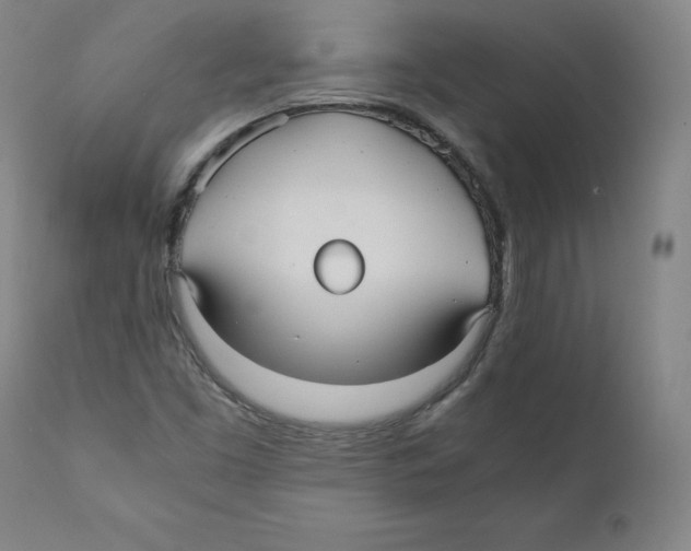 X0000110711453200907101233