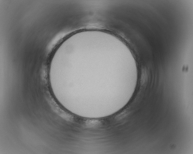 X0000110711454200907101233