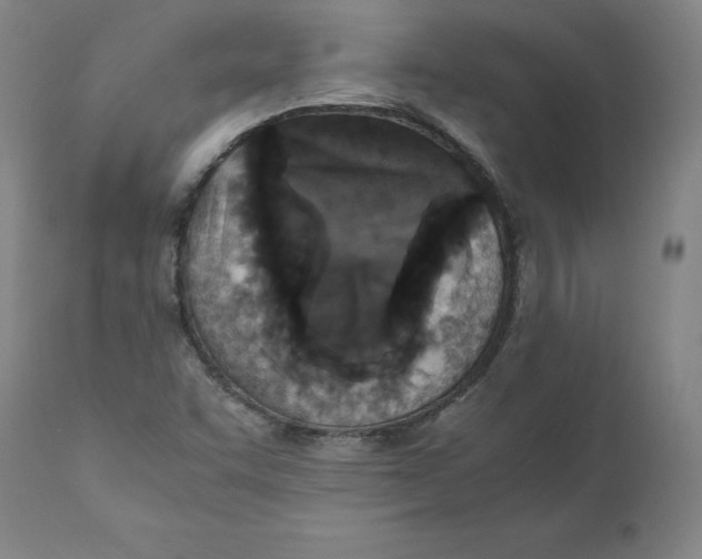 X0000110711455200907101233