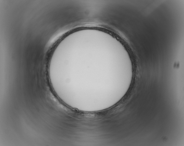 X0000110711456200907101233