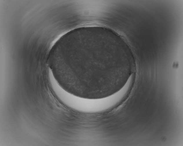 X0000110711457200907101233