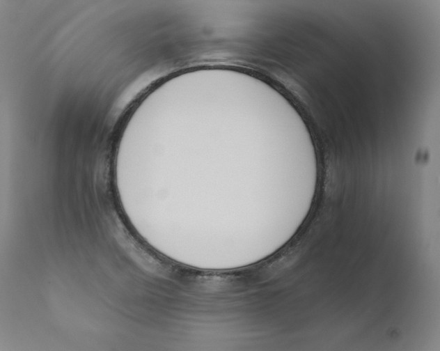 X0000110711458200907101233