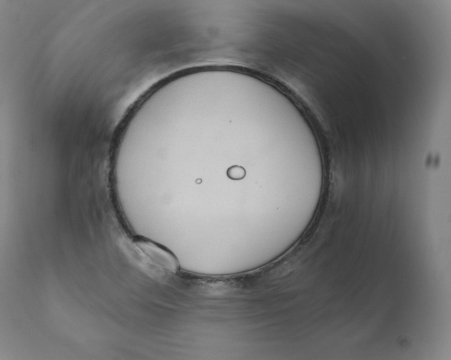 X0000110711460200907101233