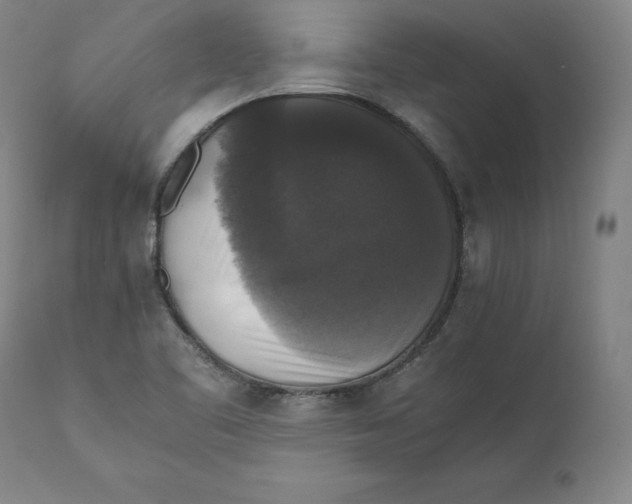 X0000110711461200907101233