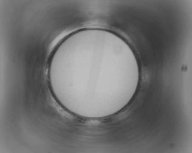 X0000110711462200907101233