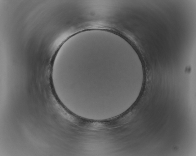 X0000110711463200907101233