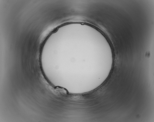 X0000110711464200907101232