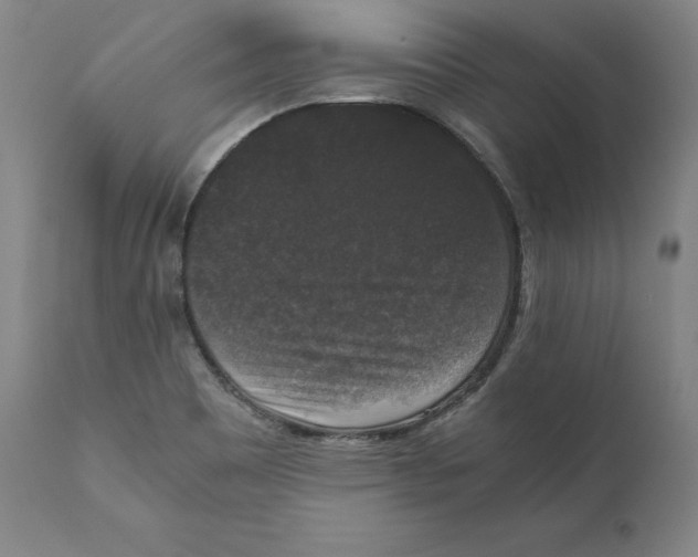 X0000110711465200907101232