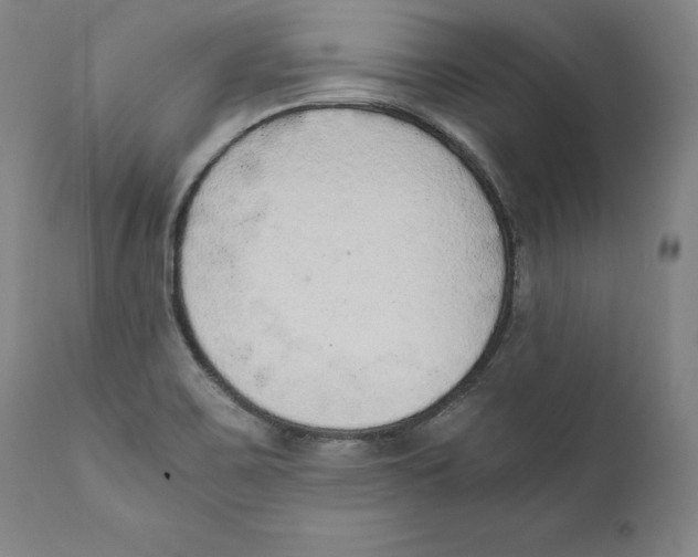 X0000110711467200907101232